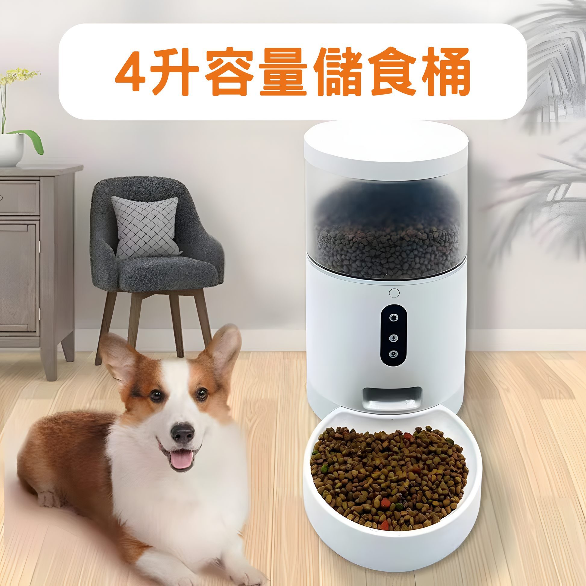 Wiston智能寵物餵食器 (鏡頭語音版) - YAmall