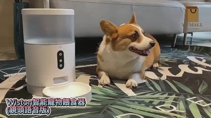 Wiston智能寵物餵食器 (鏡頭語音版)
